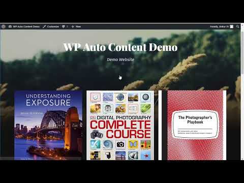 WP Auto Content walkthrough