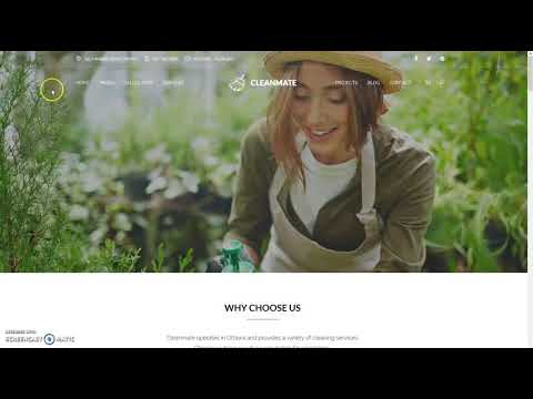 CleanMate Cleaning Company Maid Gardening WordPress Theme: Set Theme Options