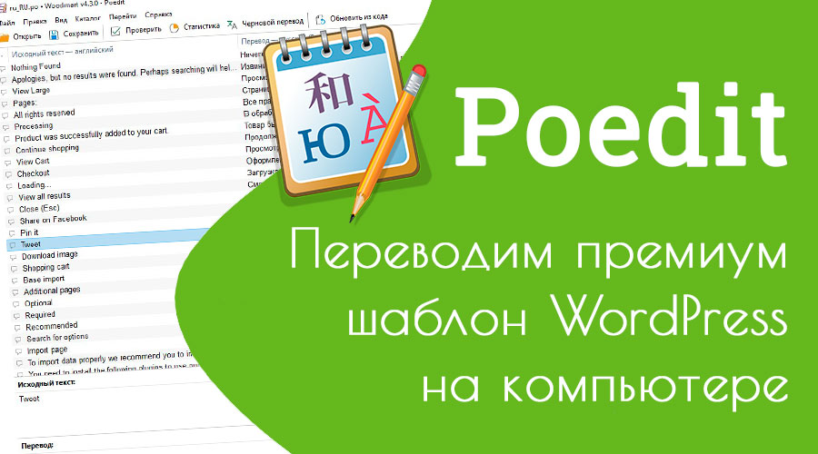Poedit – переводим премиум тему WordPress на компьютере